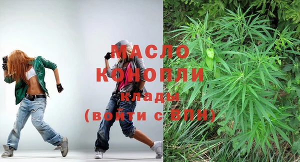 твердый Бородино
