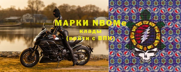 твердый Бородино
