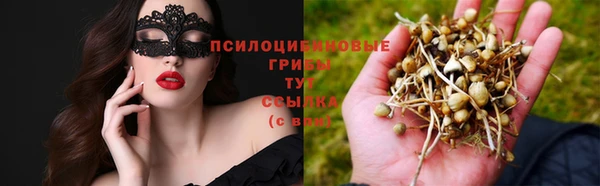 2c-b Бугульма