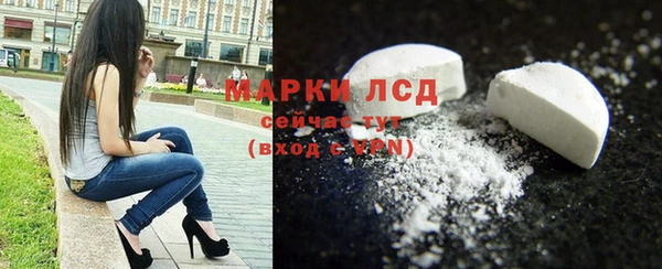 твердый Бородино