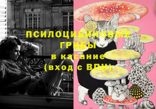 твердый Бородино