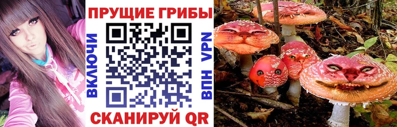 Псилоцибиновые грибы MAGIC MUSHROOMS  Салаир 